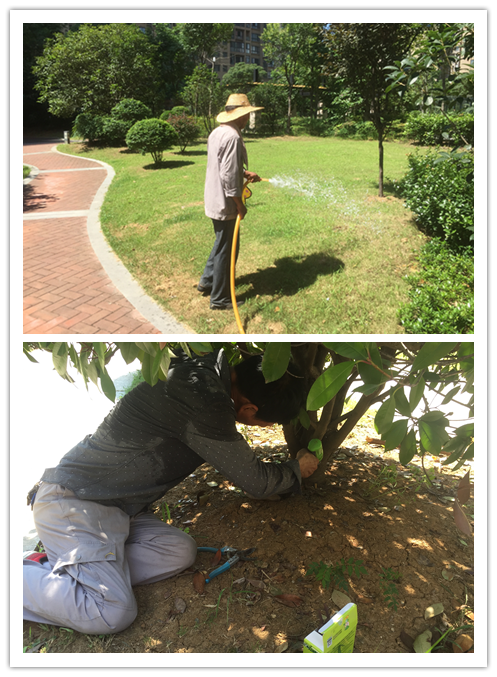 天誉国际·(中国)官方网站