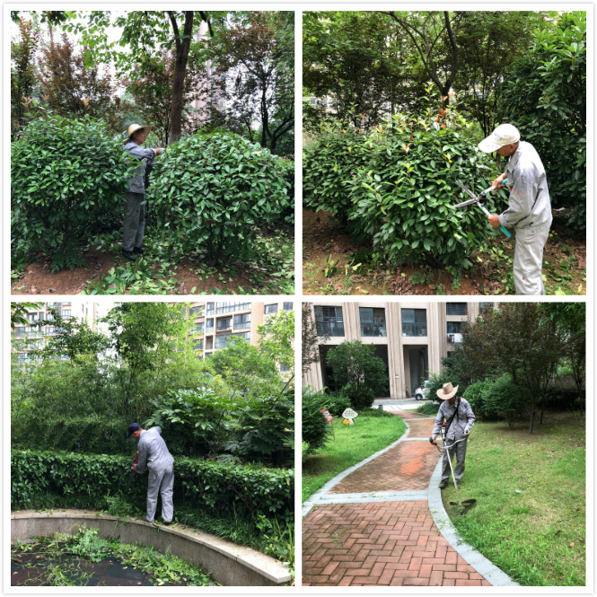 天誉国际·(中国)官方网站