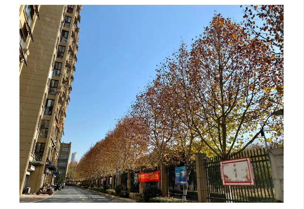 天誉国际·(中国)官方网站