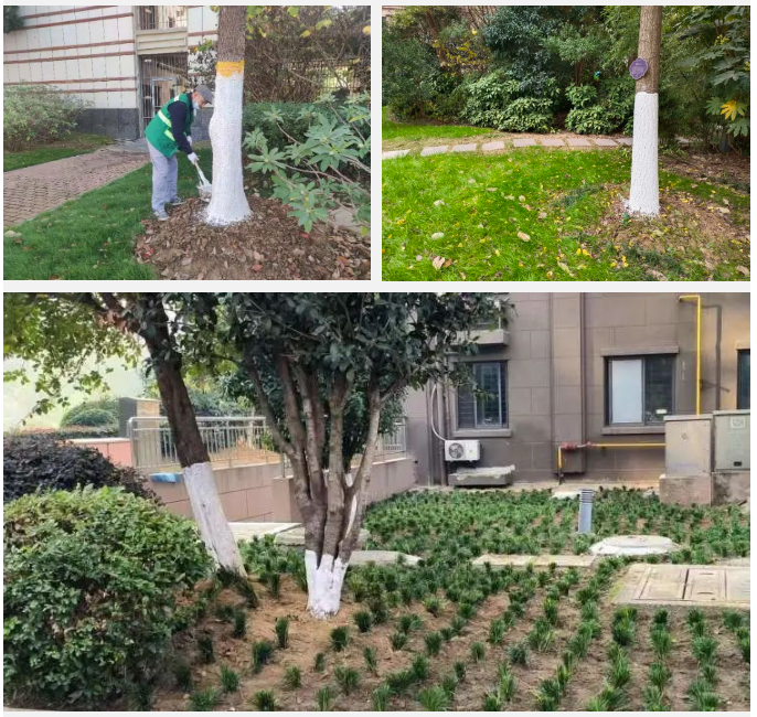 天誉国际·(中国)官方网站